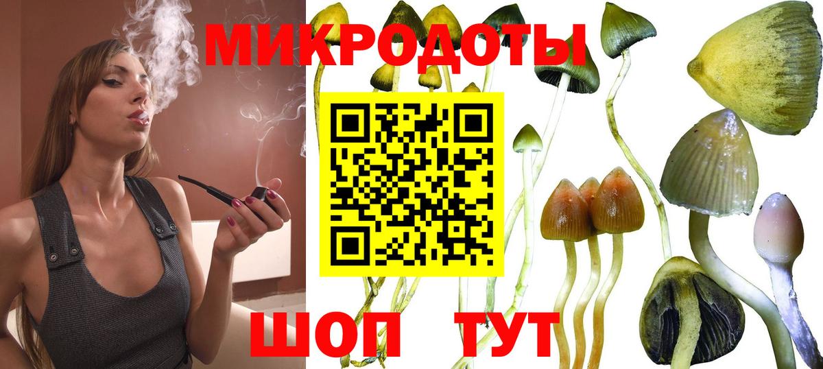 Трёхгорный  Галлюциногенные грибы Psilocybine cubensis  Вход с VPN  Псилоцибиновые грибы мицелий 